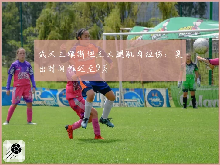 武汉三镇斯坦丘大腿肌肉拉伤，复出时间推迟至9月