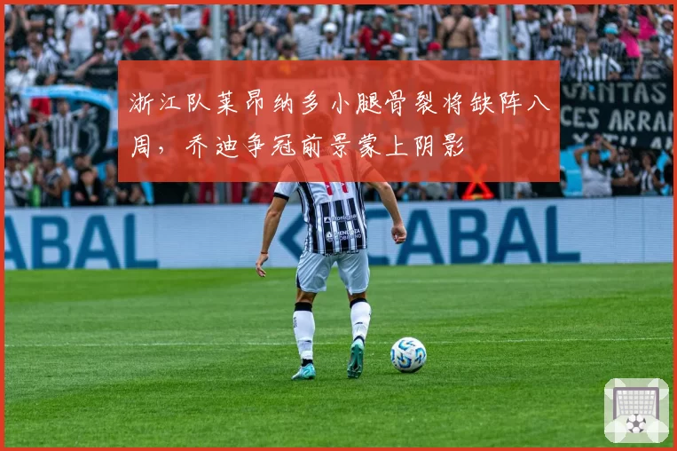 浙江队莱昂纳多小腿骨裂将缺阵八周,乔迪争冠前景蒙上阴影