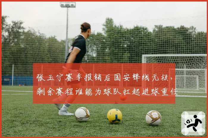 张玉宁赛季报销后国安锋线无核,剩余赛程谁能为球队扛起进球重任?
